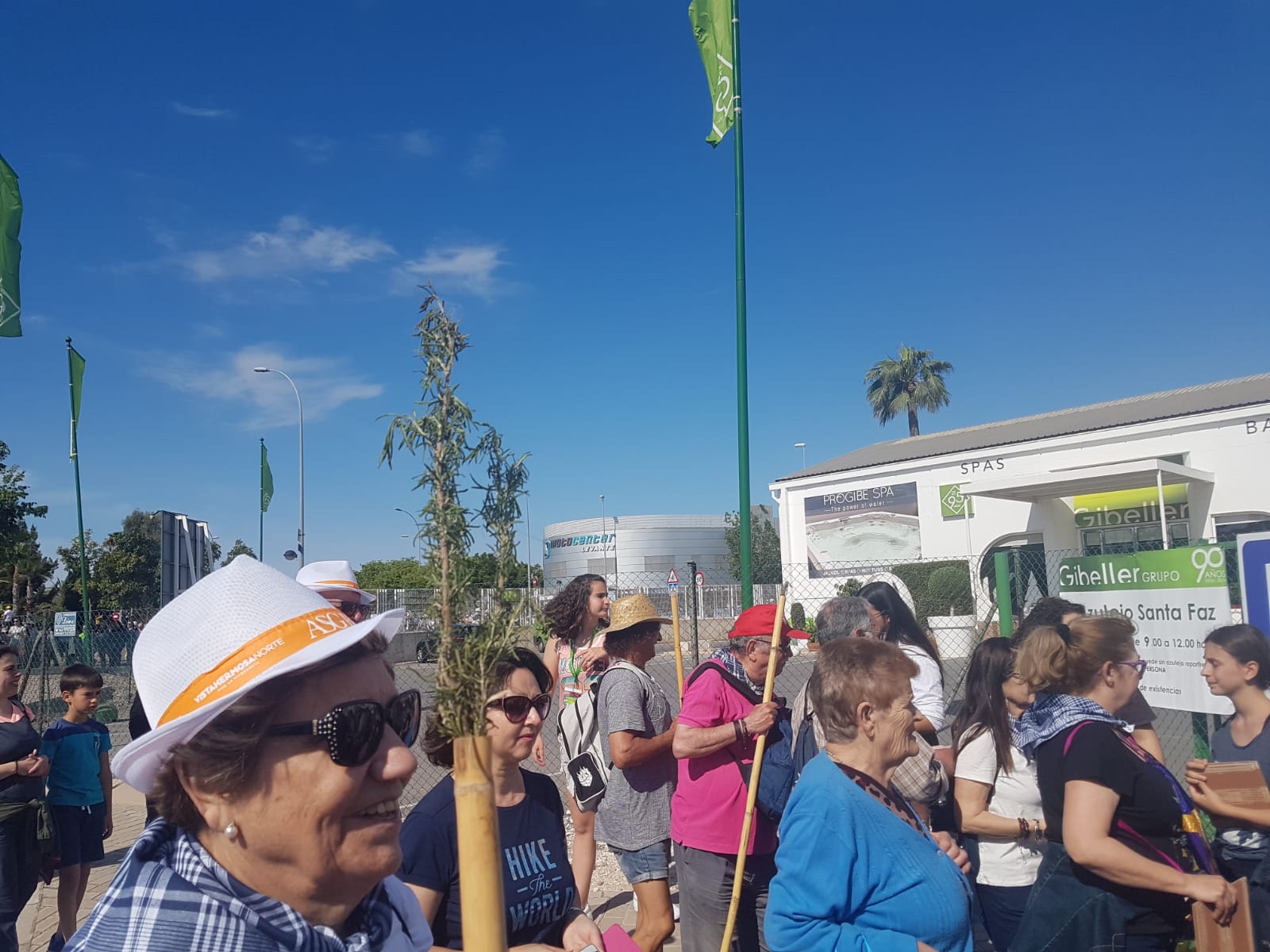 peregrinos santa faz 2019