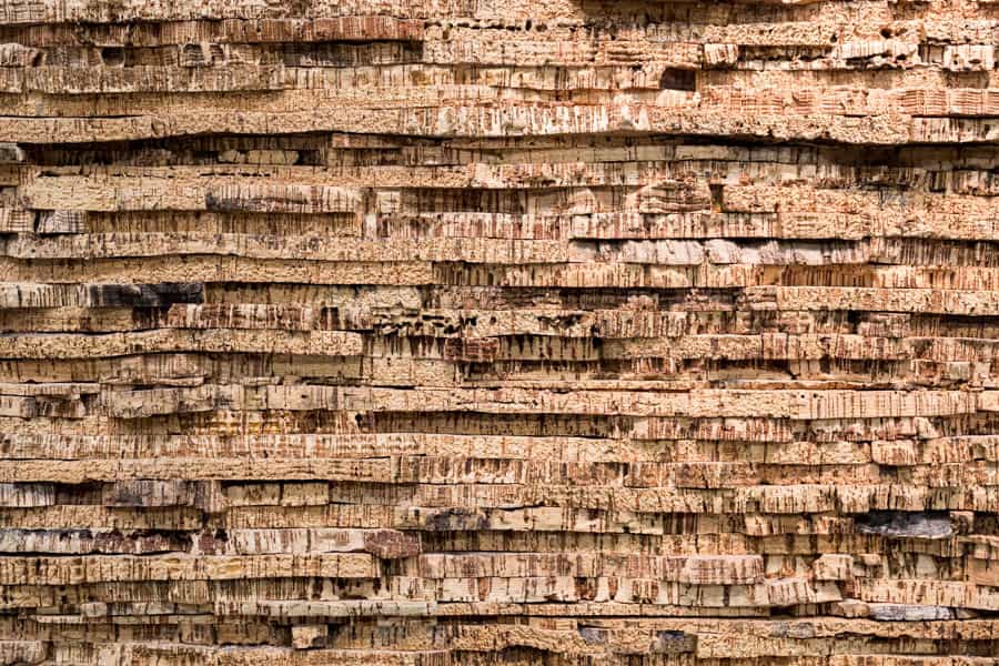 granorte sostenibilidad