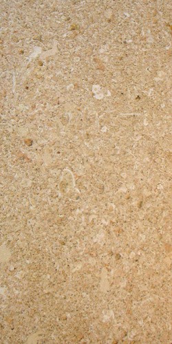 Piedra A. Fósil cortada