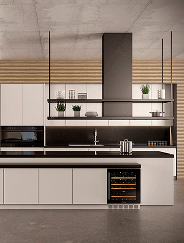 Campanas extractoras