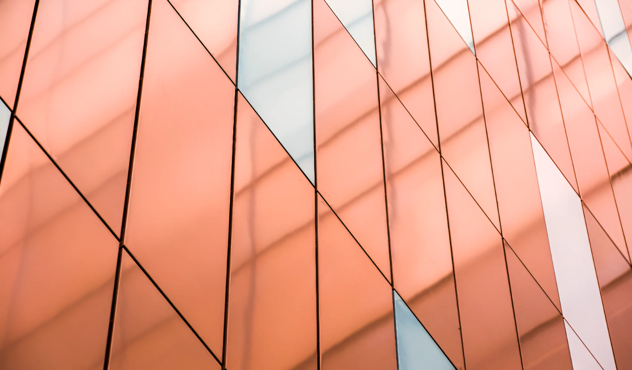 Color pantone de tendencia